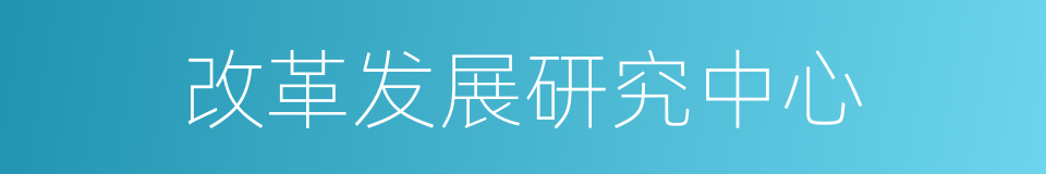 改革发展研究中心的同义词
