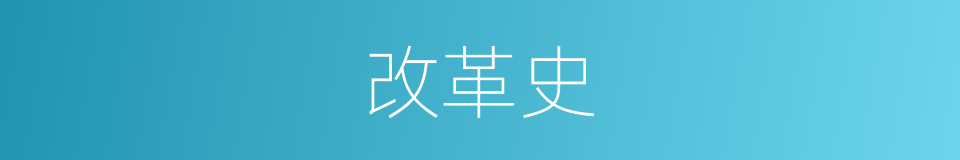 改革史的同义词