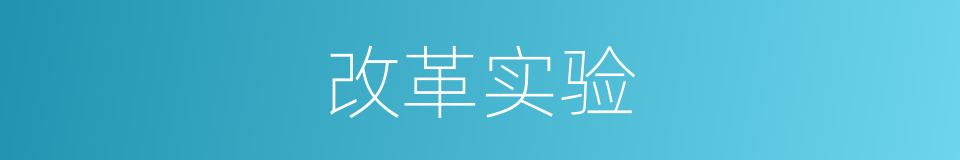 改革实验的同义词