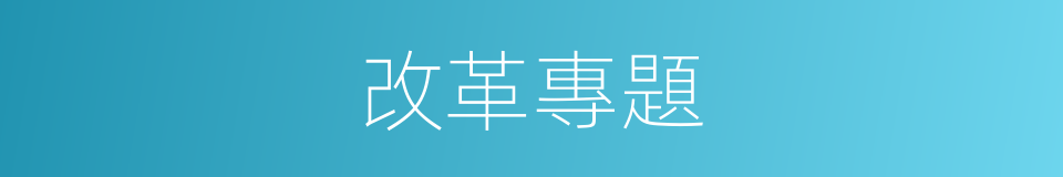 改革專題的同義詞