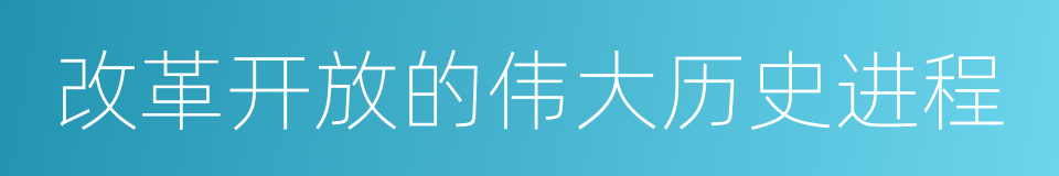 改革开放的伟大历史进程的同义词