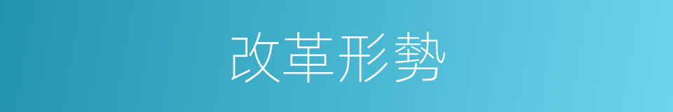改革形勢的同義詞