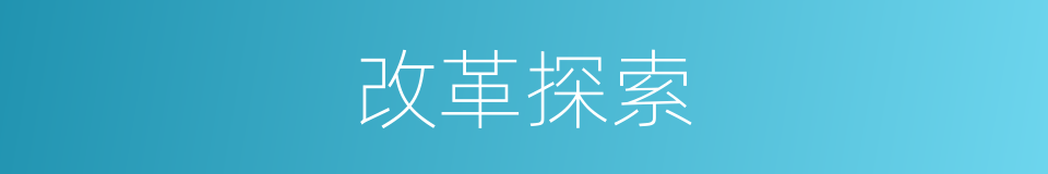 改革探索的同义词
