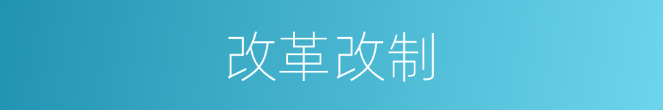改革改制的同义词