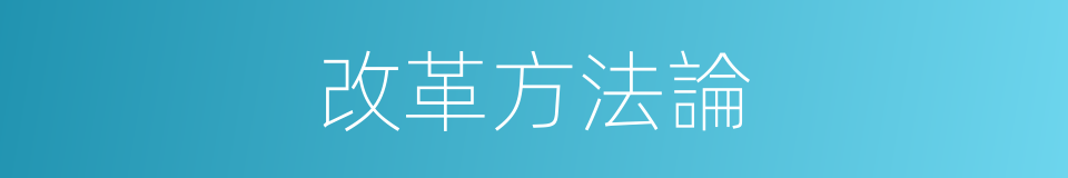 改革方法論的同義詞