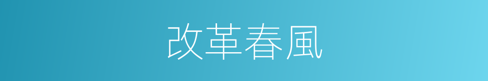 改革春風的同義詞