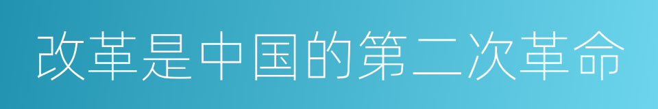 改革是中国的第二次革命的同义词