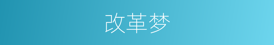 改革梦的同义词