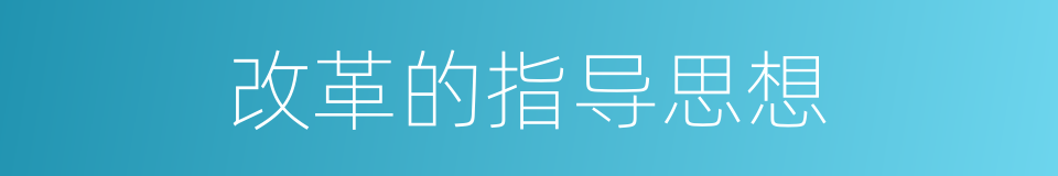 改革的指导思想的同义词