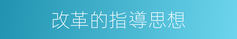改革的指導思想的同義詞