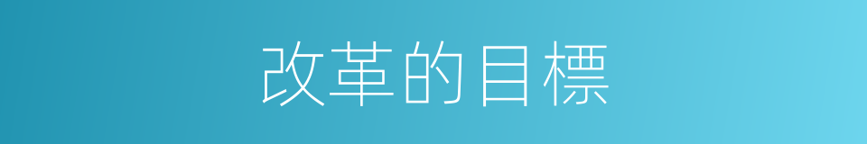 改革的目標的同義詞
