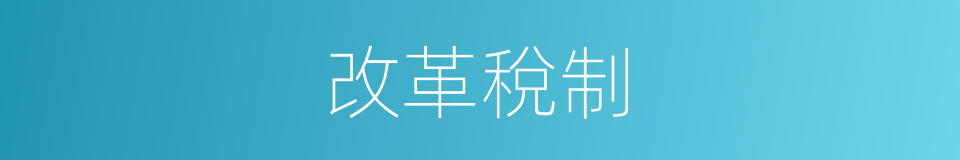 改革稅制的同義詞