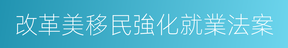 改革美移民強化就業法案的同義詞