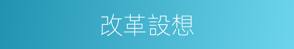 改革設想的同義詞