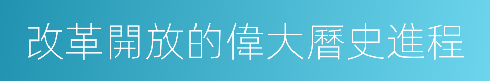 改革開放的偉大曆史進程的同義詞