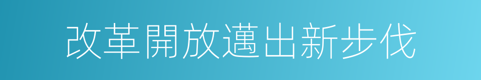 改革開放邁出新步伐的同義詞