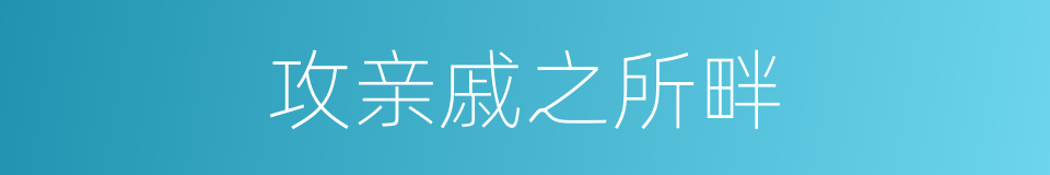 攻亲戚之所畔的同义词