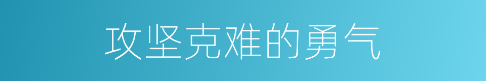 攻坚克难的勇气的同义词