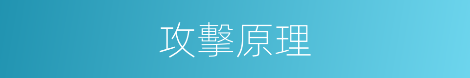 攻擊原理的同義詞