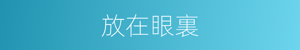 放在眼裏的意思