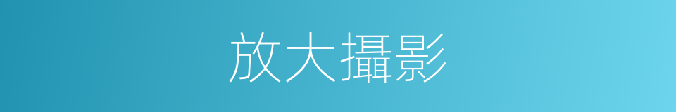 放大攝影的同義詞