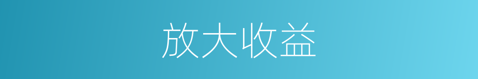 放大收益的同义词
