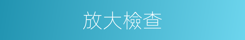 放大檢查的同義詞