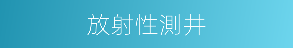 放射性測井的同義詞