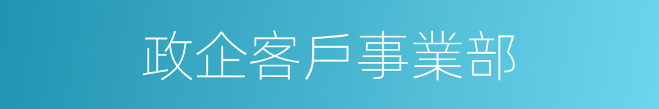 政企客戶事業部的同義詞