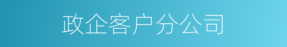 政企客户分公司的同义词