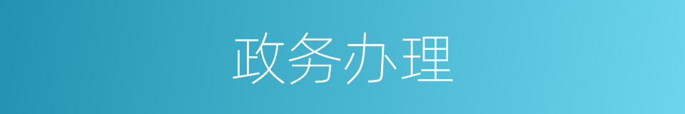 政务办理的同义词