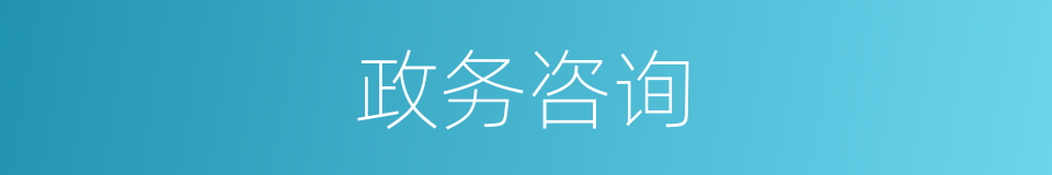 政务咨询的同义词