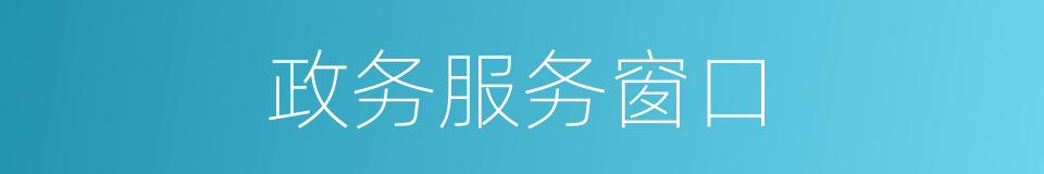 政务服务窗口的同义词