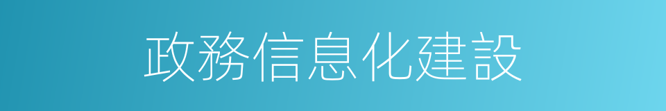 政務信息化建設的同義詞