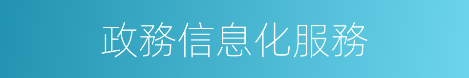 政務信息化服務的同義詞