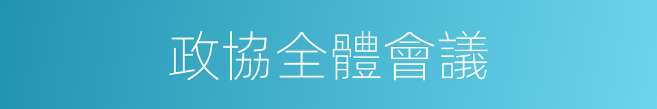 政協全體會議的同義詞