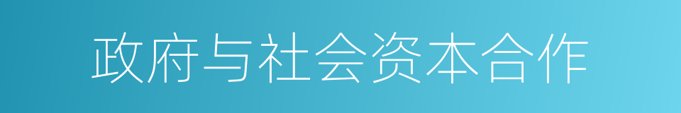 政府与社会资本合作的同义词