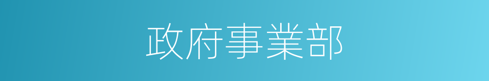 政府事業部的同義詞