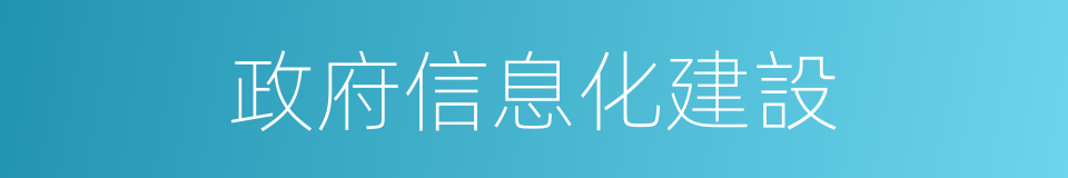 政府信息化建設的同義詞