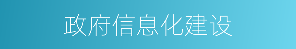 政府信息化建设的同义词