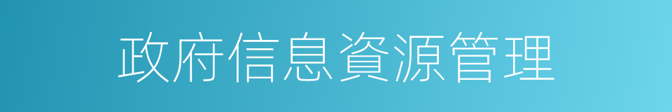 政府信息資源管理的同義詞