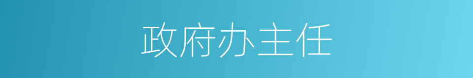 政府办主任的同义词