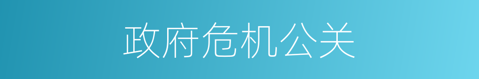 政府危机公关的同义词
