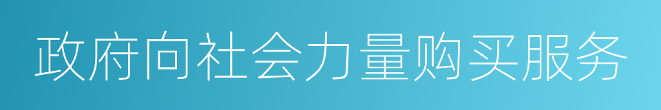 政府向社会力量购买服务的同义词