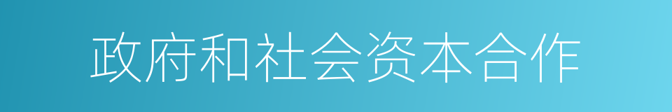 政府和社会资本合作的同义词