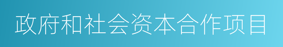 政府和社会资本合作项目的同义词