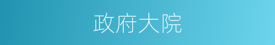 政府大院的同义词