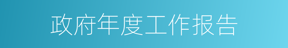 政府年度工作报告的同义词