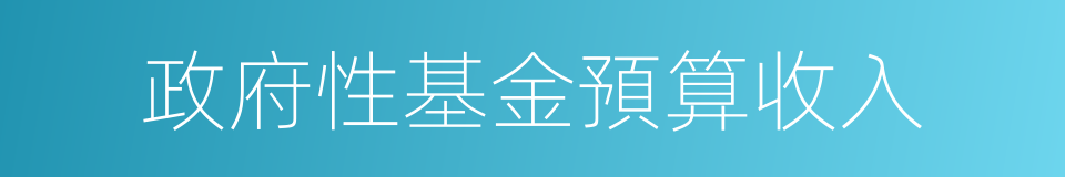 政府性基金預算收入的同義詞