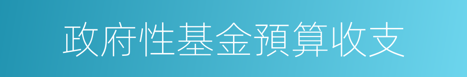 政府性基金預算收支的同義詞